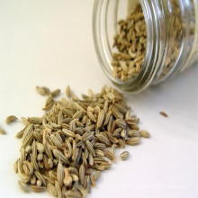 Best quality fennel seeds from China